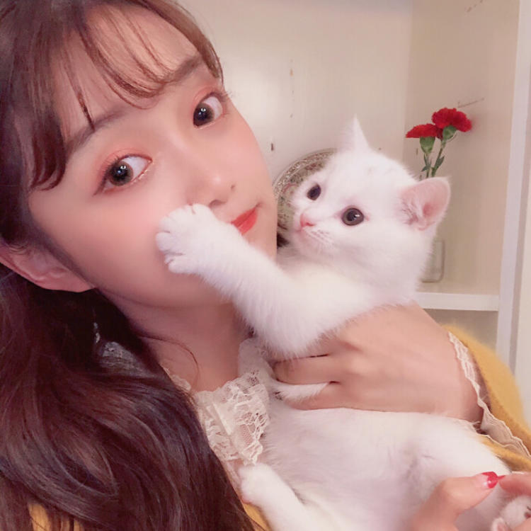 相乐总三（身份：赤报队队长、左之助师父） - 热门美剧全集在线观看 - 网页视频